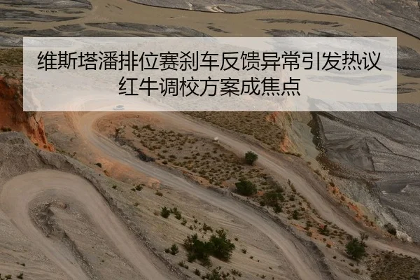 维斯塔潘排位赛刹车反馈异常引发热议 红牛调校方案成焦点